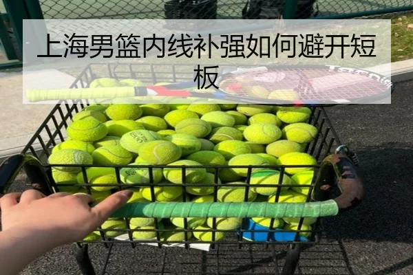 上海男篮内线补强如何避开短板